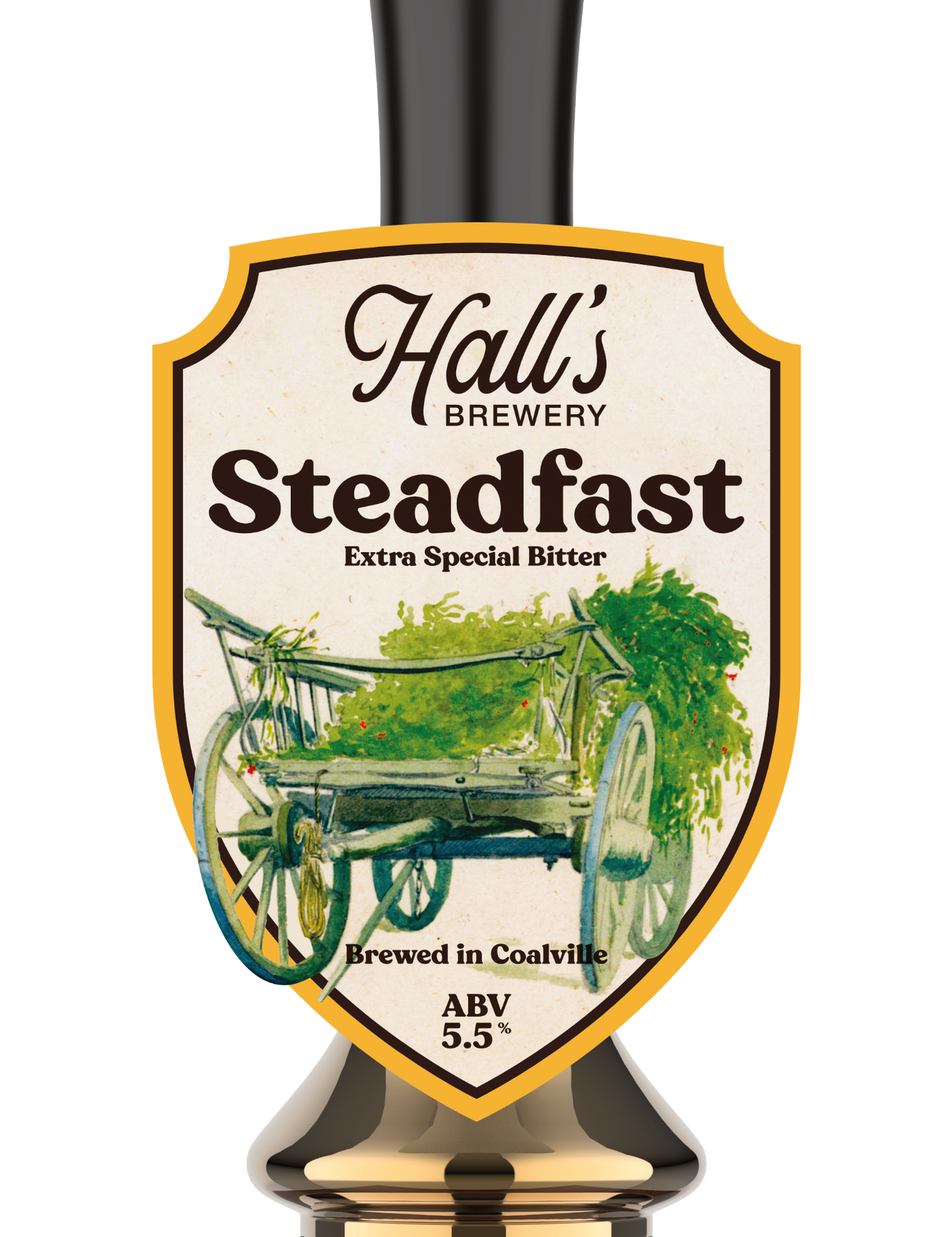 Steadfast ESB 5.5% - 500mL
